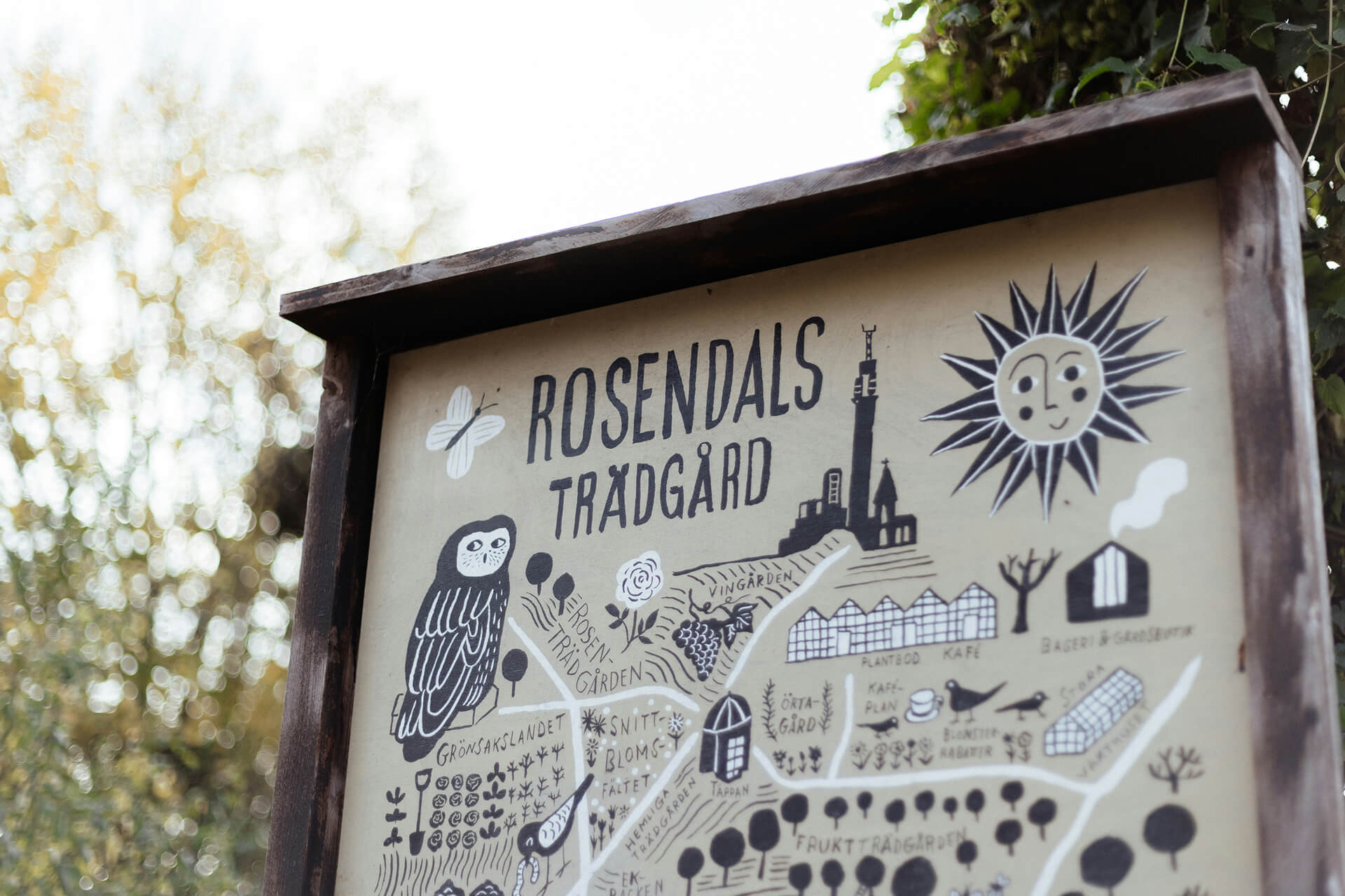 Rosendals Trädgård greenhouse